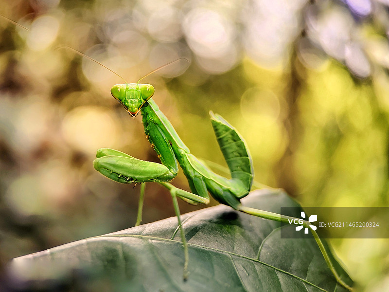 最炫的舞台图片素材