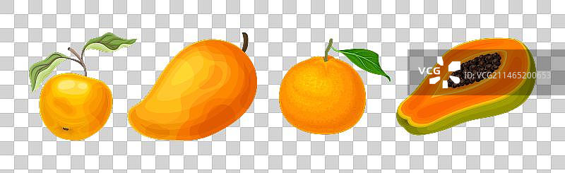 有机鲜橙和花园品种图片素材