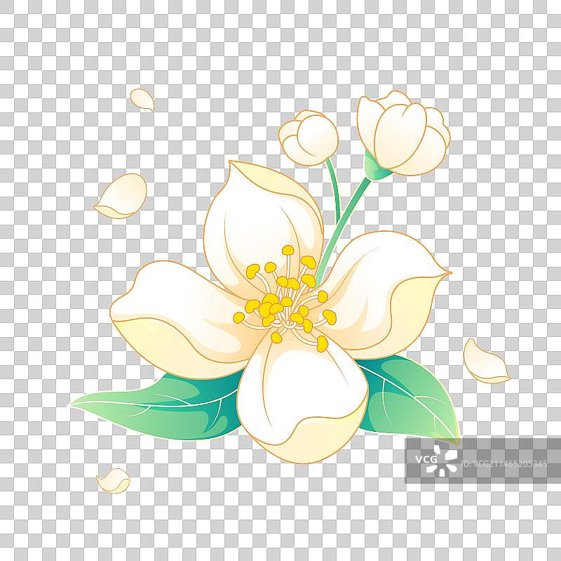 国风茉莉花矢量插画鲜花元素图片素材
