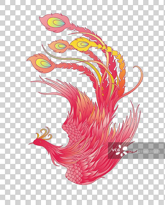 矢量凤凰神鸟插画素材图片素材