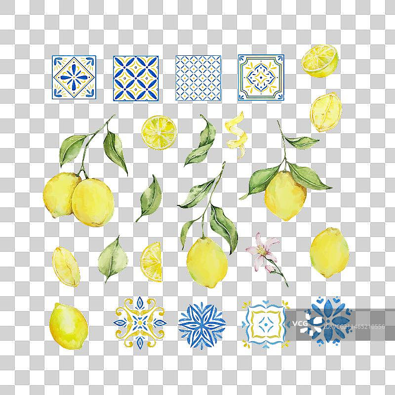 水彩地中海风情：多汁的柠檬叶图片素材