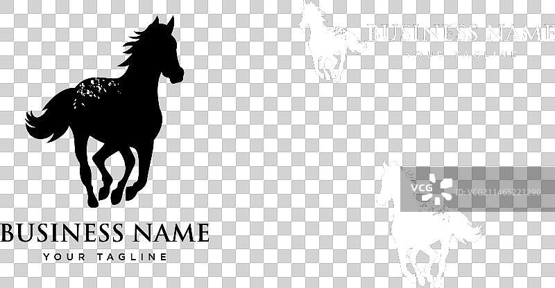 阿帕卢萨马设计模板图片素材