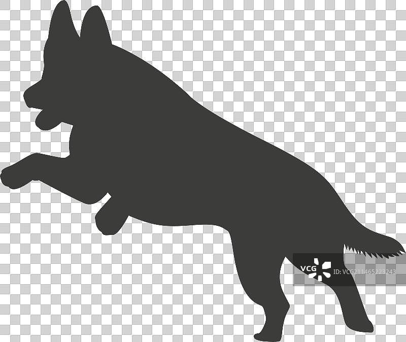 德国牧羊犬跳跃剪影图片素材