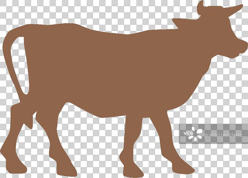 耶稣诞生场景中的牛剪影图片素材