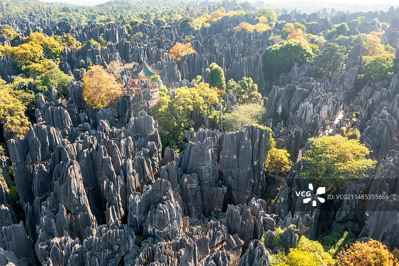 航拍石林主景区  石林胜景  望峰亭  秋色图片素材