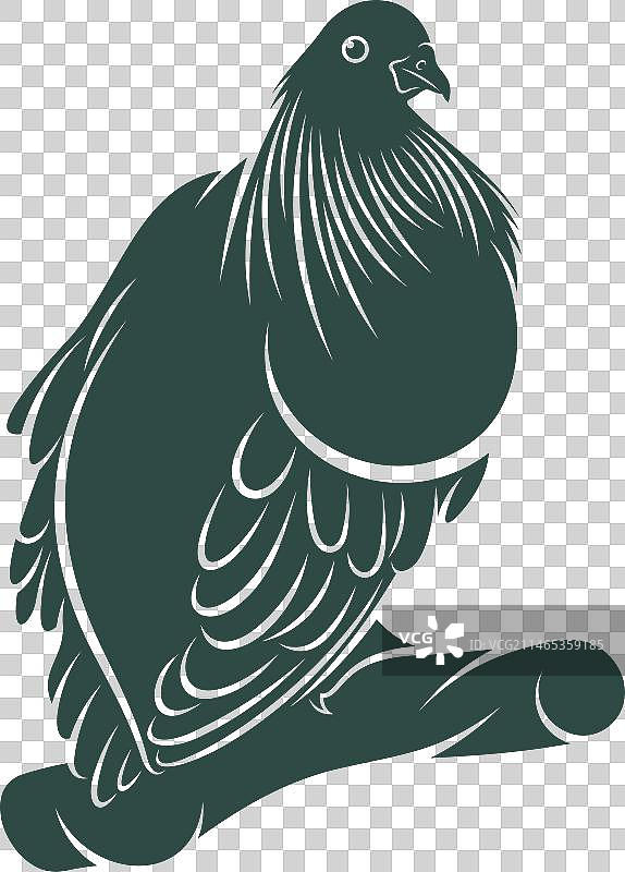 尼科巴鸠设计图片素材