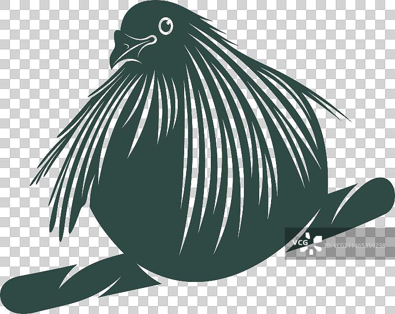 尼科巴鸠设计图片素材