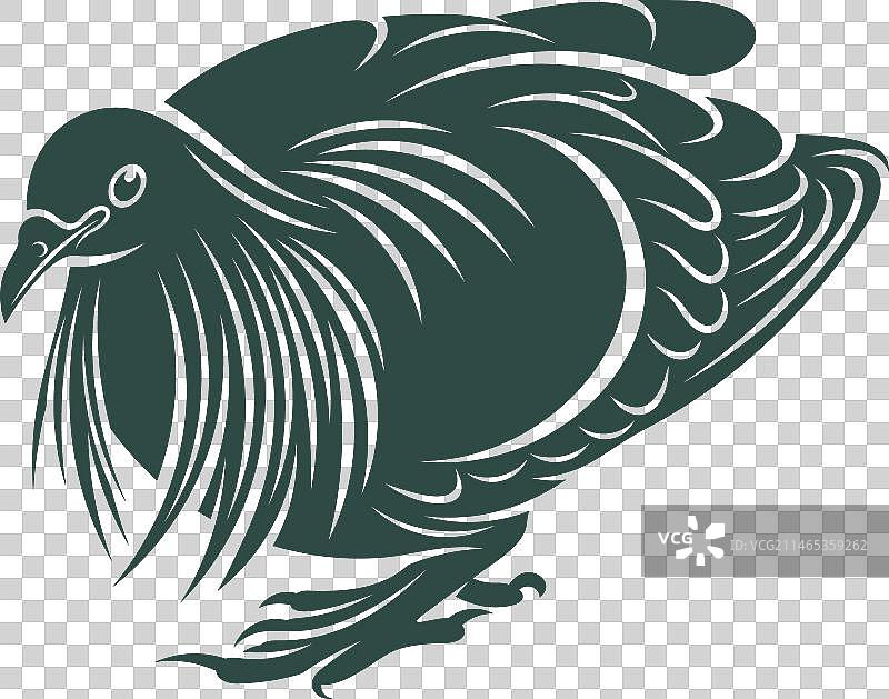 尼科巴鸠设计图片素材