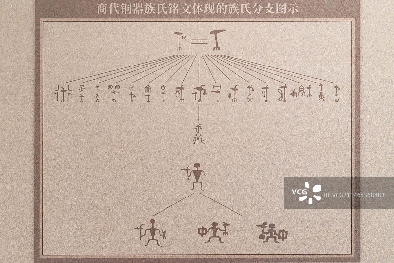 中国古代族氏分支示意图，人类学图片素材