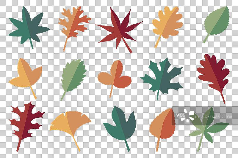 黄色红色和绿色落叶图片素材