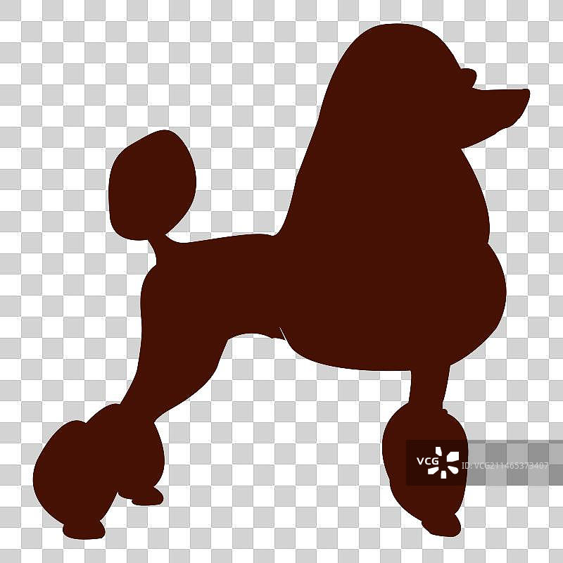 贵宾犬剪影图片素材