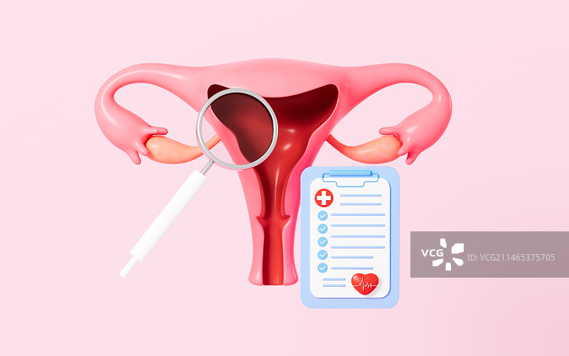 女性子宫检查3D渲染图片素材