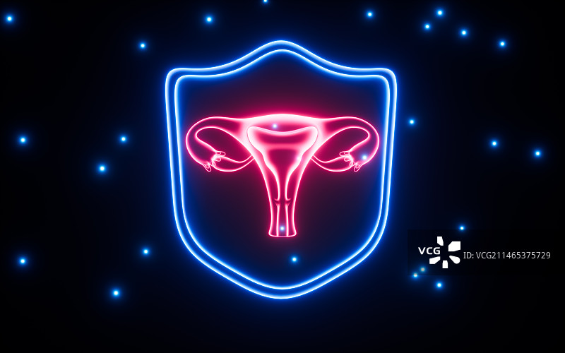 女性子宫解剖图与盾牌保护3D渲染图片素材