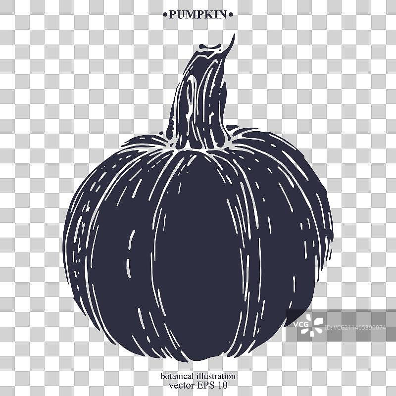 手绘南瓜图片素材