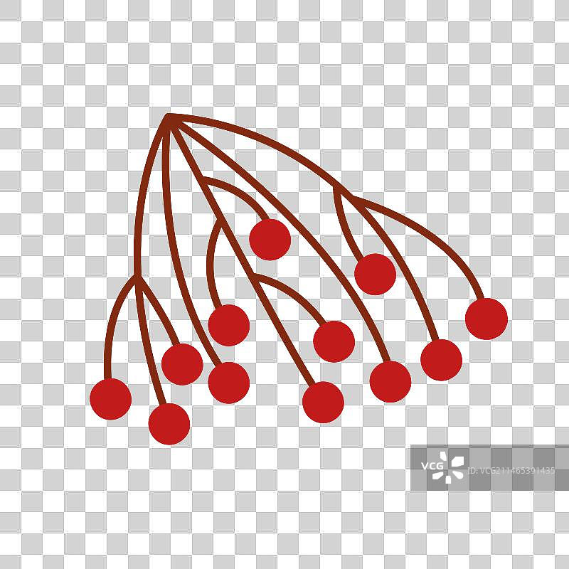 花楸树枝图片素材