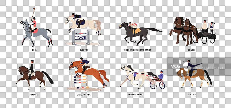 马术运动纯种赛马图片素材