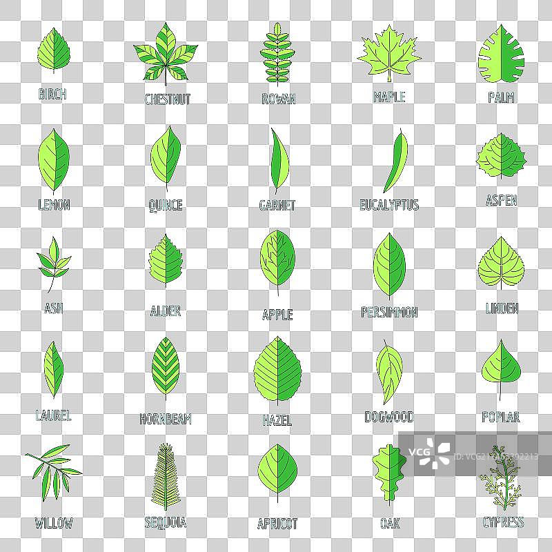 彩色叶子图标合集图片素材