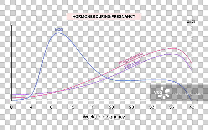 怀孕期间的激素图片素材