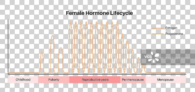 怀孕期间的激素图片素材