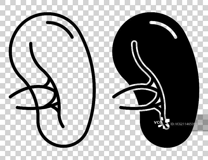 人类脾脏器官图标图片素材