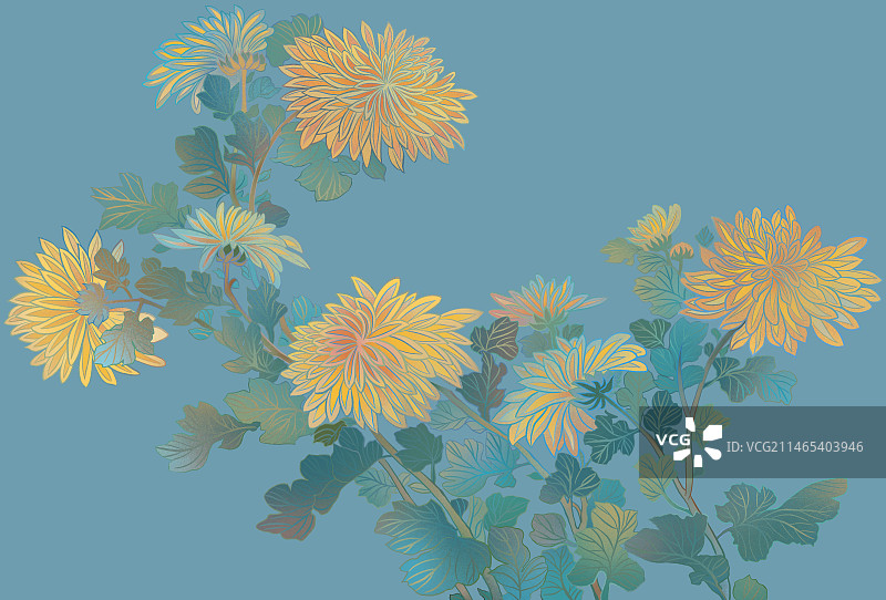 秋天重阳菊花古画插画图片素材