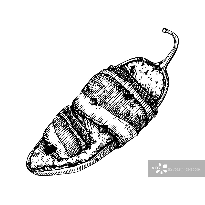 酿墨西哥辣椒草图图片素材