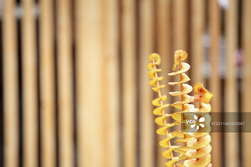 美国马铃薯旋风图片素材