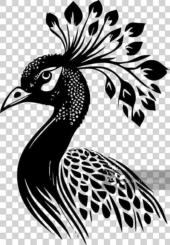 黑白孔雀隔离图标图片素材