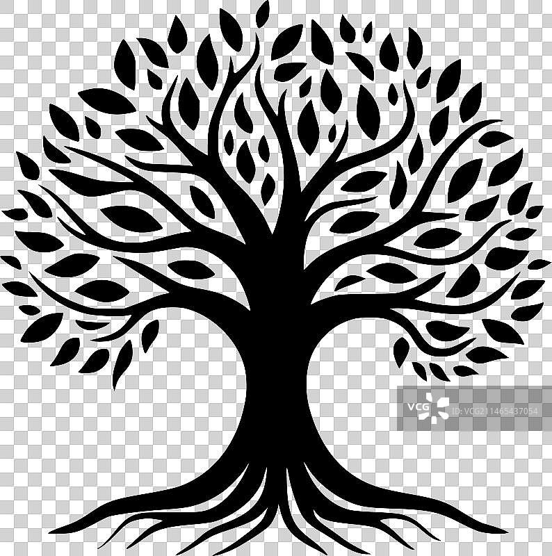 生命之树 - 简约剪影图片素材