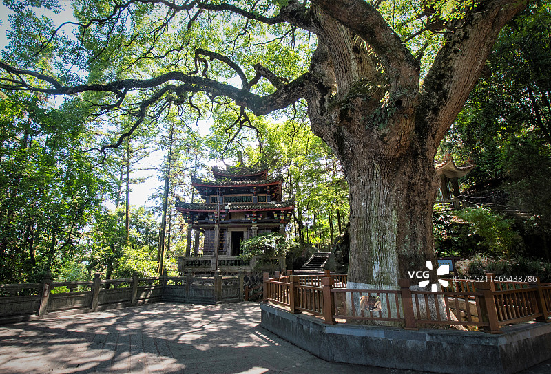 省级文保单位、国家4A级旅游景区泉州安溪蓬莱清水岩图片素材