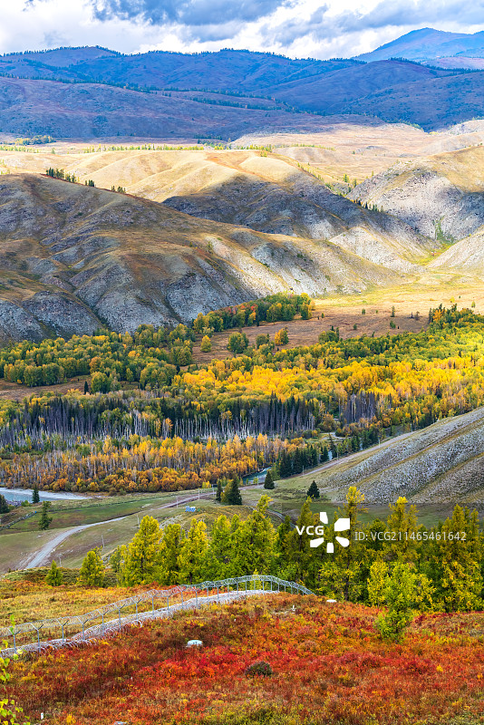 国境线上的秋色图片素材