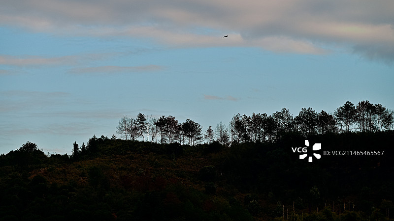 蓝天配剪影图片素材
