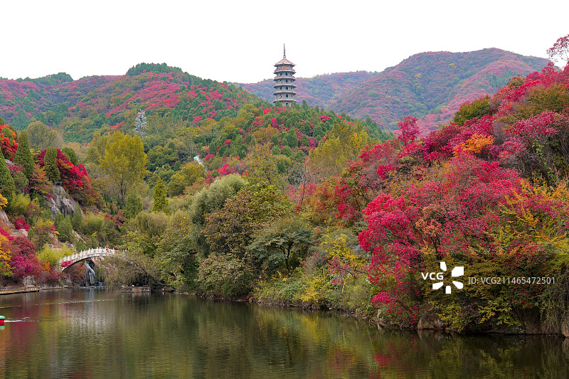 济南红叶谷绚秋湖秋色图片素材