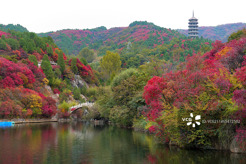 济南红叶谷绚秋湖秋色图片素材