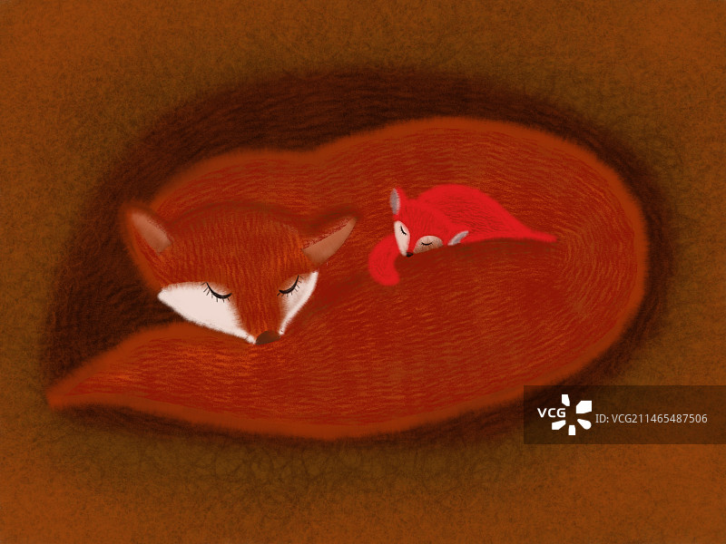 狐狸妈妈和小狐狸冬眠图片素材