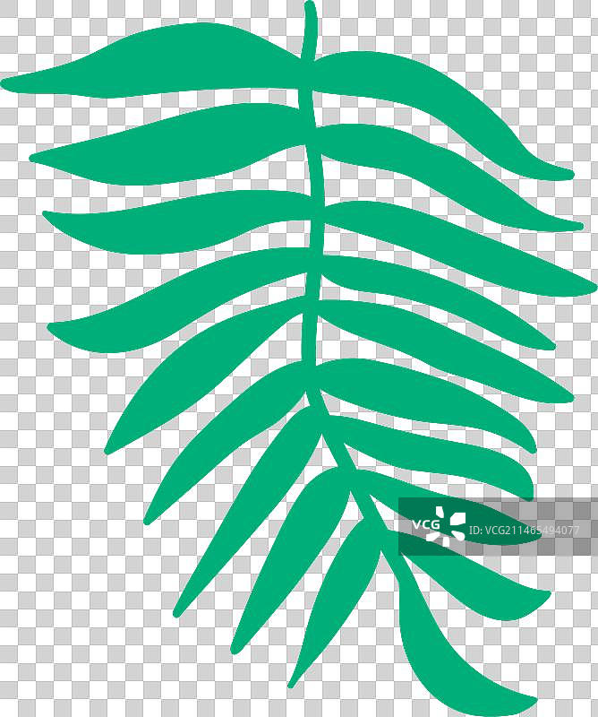 手绘槟榔树图片素材