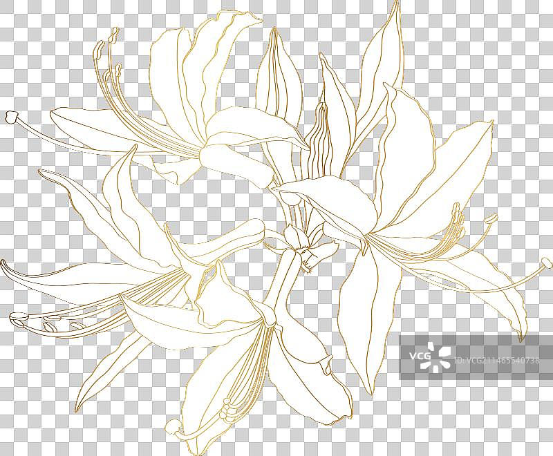 金色映山红夹竹桃花朵线条图片素材