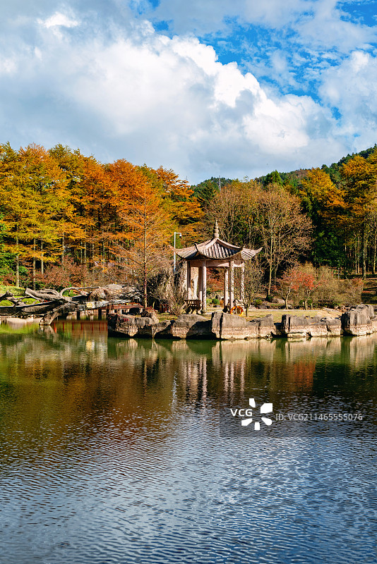 宁波余姚四明山秋天金色的山林倒映在仰天湖图片素材