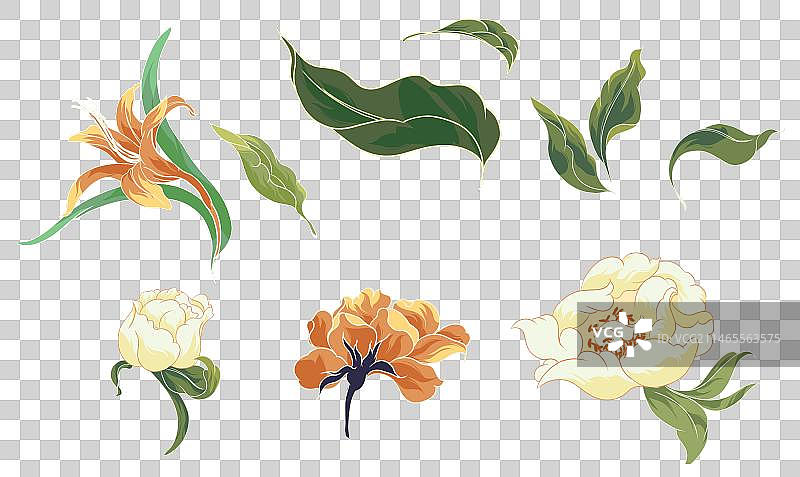 茶花叶子植物素材图片素材