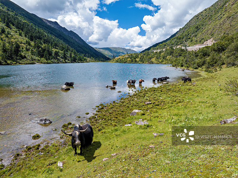 航拍西藏朗县拉多藏湖白昼风光图片素材