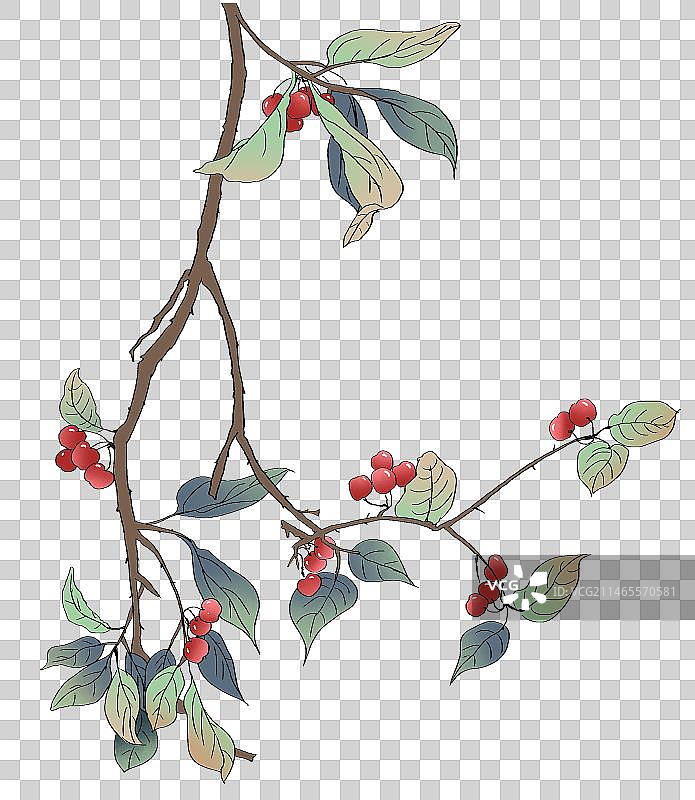 中国风水墨画摘樱桃的季节元素图片素材