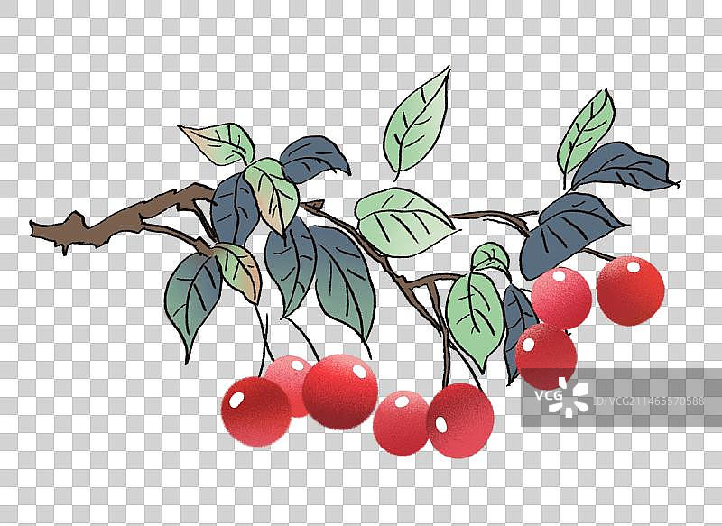 中国风水墨画摘樱桃的季节元素图片素材