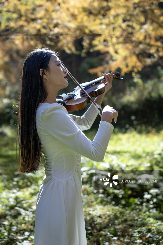 一位美女大学生在植物活化石水杉的故乡湖北利川小河水杉林公园里拉小提琴图片素材