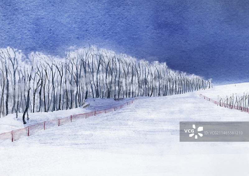 雪地上的树木顶着天空图片素材