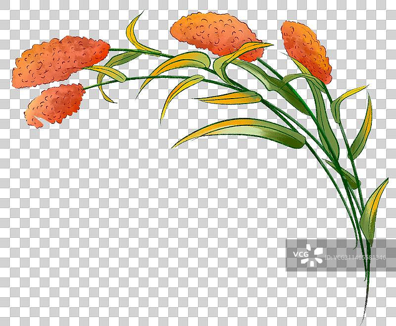 手绘清新高粱插画图素图片素材