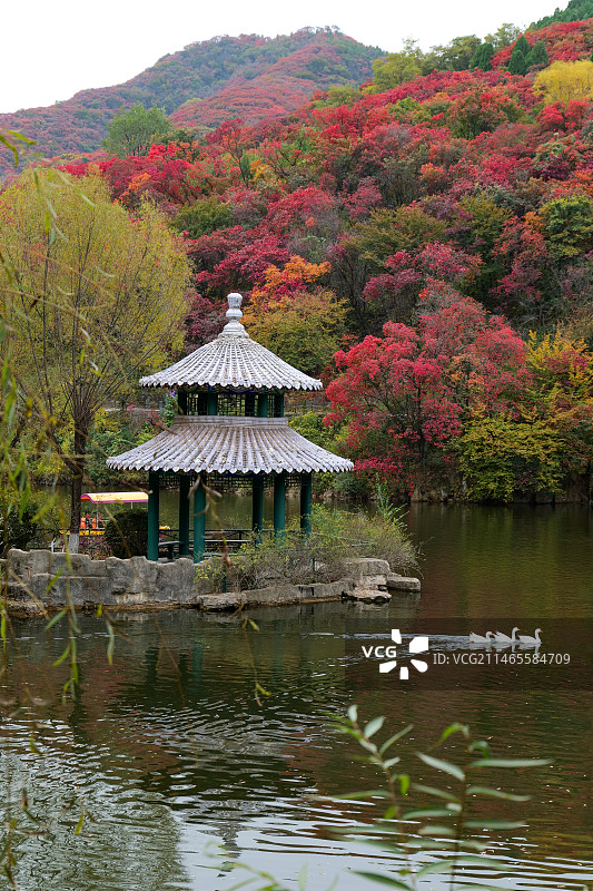 山东济南红叶谷绚秋湖休息亭秋色图片素材