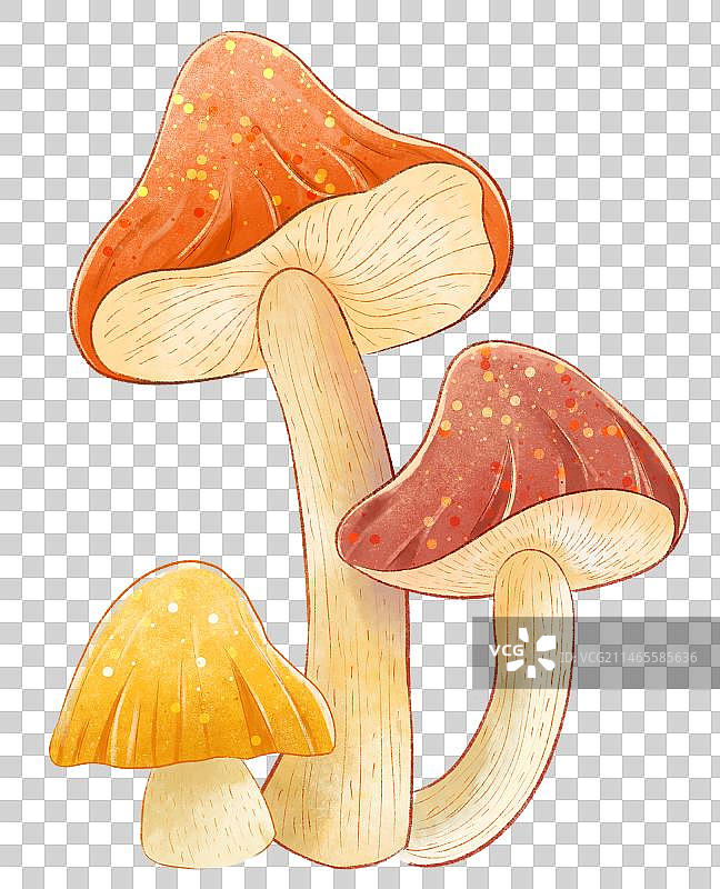 一片蘑菇元素图片素材