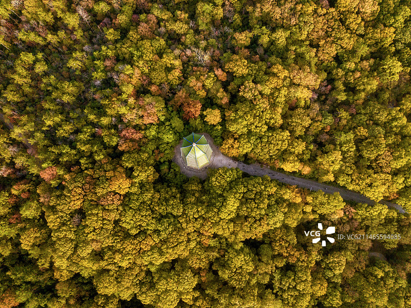 航拍江苏南京钟山风景区秋天风光图片素材