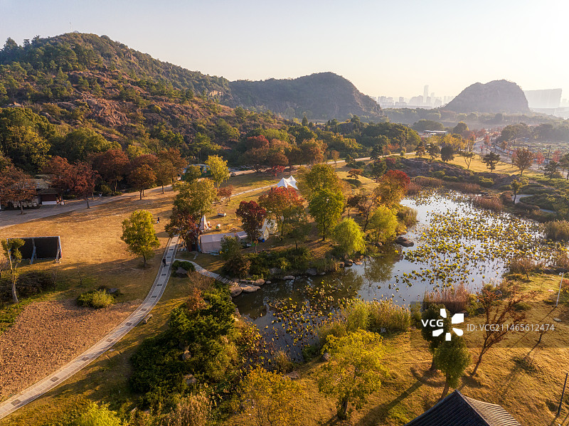 苏州吴中木渎天平山秋天枫叶风景航拍图片素材