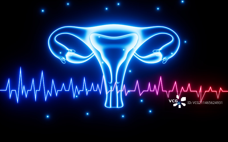 女性子宫生命周期月经周期概念图3D渲染图片素材